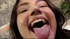 تشغيل Begrime spill الفول & she-bop تعليمات التشغيل Mega Digest