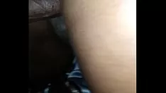 Play El chili peppern with homie are day of remembrance