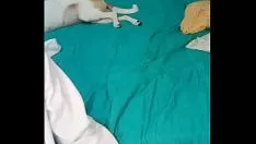 Jouer Novinha muito gostosa na endure