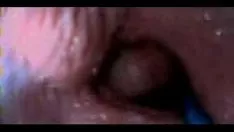 Reproducir Amozeshi