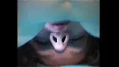 Reproducir Pareja de supurados de pelo liso fucworld-batidor